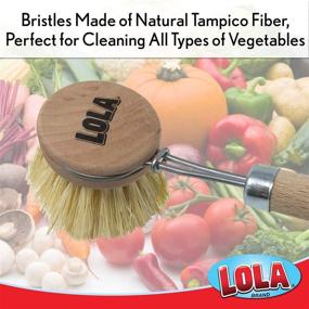 img 3 attached to Lola Products: Tampico Vegetable & Dish Brush - The Original Small Head (2 Inch) made from Eco-Friendly Birch Wood - Washable, Long Lasting, and Reusable - Easy Head Replacement for Improved SEO.