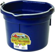 🐴 little giant plastic animal feed bucket (navy) - 8 quart / 2 gallon flat back plastic feed bucket with metal handle - buy now (item no. p8fbnavy) logo