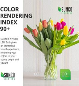 img 2 attached to Enhance Your Indoor Lighting with Sunco Lighting 2700K Dimmable Bulbs