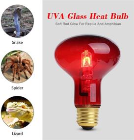 img 2 attached to 🔆 2 Pack - 75W Red Pet Light Heating Infrared Bulb UVA Spot Heat Lamp for Reptile and Amphibian Use, Ideal for Lizard, Tortoise, Snake, and Chameleon