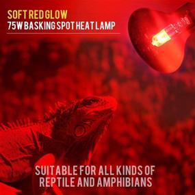 img 1 attached to 🔆 2 Pack - 75W Red Pet Light Heating Infrared Bulb UVA Spot Heat Lamp for Reptile and Amphibian Use, Ideal for Lizard, Tortoise, Snake, and Chameleon