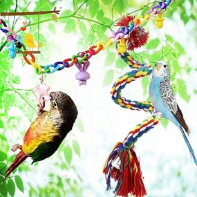 img 1 attached to Newly Upgraded Rope Bungee Bird Toys - 9pcs, Ideal Parrot Chewing Toys for Small Parakeets, Cockatiels, Finches, Budgie, Macaws, Parrots, Love Birds, Peony Cockatiel - JIAYUE Bird Cage Accessories