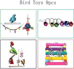 img 3 attached to Newly Upgraded Rope Bungee Bird Toys - 9pcs, Ideal Parrot Chewing Toys for Small Parakeets, Cockatiels, Finches, Budgie, Macaws, Parrots, Love Birds, Peony Cockatiel - JIAYUE Bird Cage Accessories