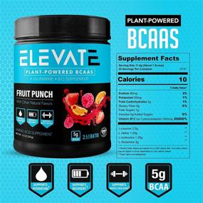 img 3 attached to Порошок BCAA на основе растений от Elevate Nutrition: повышенное наращивание мышц и восстановление с В12, глютамином и соотношением 2:1:1 (Фруктовый пунш)