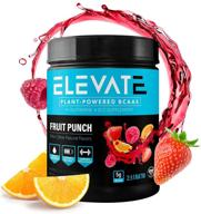 порошок bcaa на основе растений от elevate nutrition: повышенное наращивание мышц и восстановление с в12, глютамином и соотношением 2:1:1 (фруктовый пунш) логотип