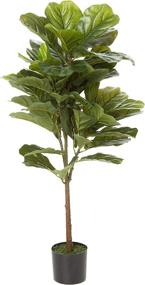 img 3 attached to Ella and Lulu Design Fiddle Leaf Tree - 3' Tall Indoor & Outdoor Window Centerpiece for Weddings, Parties, and Celebrations