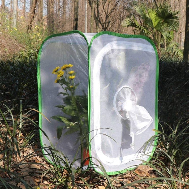 Restcloud RESTCLOUD Insect and Butterfly Habitat Cage Terrarium Pop-up 24  Inches Tall