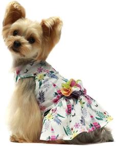 img 1 attached to 🦄 Fairy Unicorn Pet Clothing: Dog Dresses and Cat Vest Shirts by Fitwarm