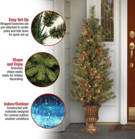 img 2 attached to 🎄 National Tree Company Pre-Lit Artificial Mini Christmas Tree - Green Crestwood Spruce with White Lights, Pine Cones, Berry Clusters, and Frosted Branches - Includes Pot Base - 4 Feet
