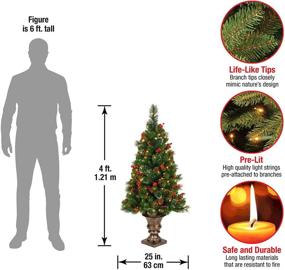 img 3 attached to 🎄 National Tree Company Pre-Lit Artificial Mini Christmas Tree - Green Crestwood Spruce with White Lights, Pine Cones, Berry Clusters, and Frosted Branches - Includes Pot Base - 4 Feet