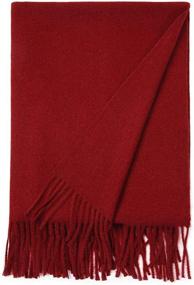 img 2 attached to 🧣 Lallier Winter Women's Accessories: Cashmere Pashmina Shawls, Scarves & Wraps