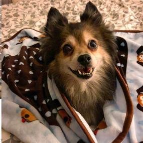 img 1 attached to 🐾 Snuggle Blanket for Pets by SmartPetLove