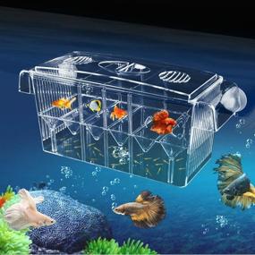 img 4 attached to 🐠 High Definition 4-Room Fish Breeding Box - Optimal Aquarium Breeder Box with Double Hatching Incubator for Guppy Baby Fish Hatchery