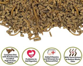 img 2 attached to 🦔 Premium Hedgehog Complete: Holistic Nutrition with High Protein Pellets & Dried Mealworms - 100% Natural Food for Pet Hedgehogs