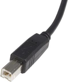 img 2 attached to StarTech.com 10ft USB 2.0 Certified A to B Cable - High Quality 10ft Type 🔌 A to B USB Cable - Reliable 10ft A to B USB 2.0 Cable (USB2HAB10), Black