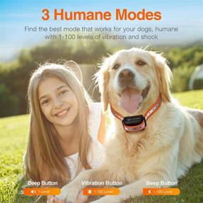 img 2 attached to 🐶 ROJECO Dog Training Collar: Waterproof Rechargeable Shock Collar with 3300FT Remote, 3 Training Modes - Beep, Vibration, and Shock, for Large Medium Small Dogs