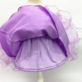 img 1 attached to 🎉 Get Party-Ready with Shiny Toddler Applique Birthday Petticoat Girls' Clothing!