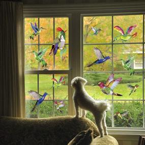 img 1 attached to 🐦 Anti-Collision Hummingbird Window Clings - Decorative Bird Window Decals for Sliding Glass Doors (12 Pack)