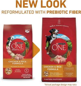 img 3 attached to Purina ONE SmartBlend Natural Chicken and Rice Dry Dog Food for Adult Dogs