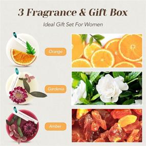 img 3 attached to 🏡 Set of 3 Home Fragrance: Ideal Housewarming Gift for New Home, Bathroom, Car - Air Fresheners for Women, Closet Freshener, Closet Deodorizer - Enhance Home Scent, Perfect Birthday Gift