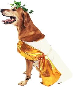 img 4 attached to 🐶 Midlee Toga Pet Costume