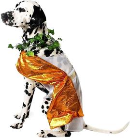 img 1 attached to 🐶 Midlee Toga Pet Costume