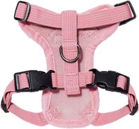 img 3 attached to 🐱 Voyager Step-in Lock Cat Harness - Adjustable Step-in Vest for Cats - Pink with Matching Trim - XXS Size