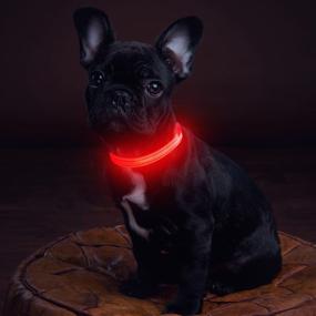 img 3 attached to DOMIGLOW Light Up Dog Collars: Rechargeable LED Collar for Night Walking & Camping