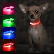 domiglow light up dog collars: rechargeable led collar for night walking & camping logo