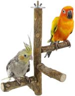 yingge climbing parakeets cockatiels lovebirds logo