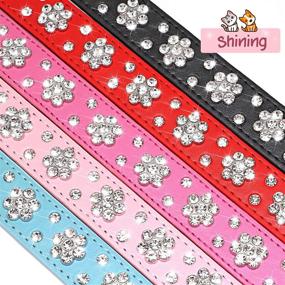 img 1 attached to 🌸 Didog - Cute PU Leather Dog Collar with Rhinestone Flower Pattern - Studded - 1 Inch Width - Ideal for Small and Medium Dogs