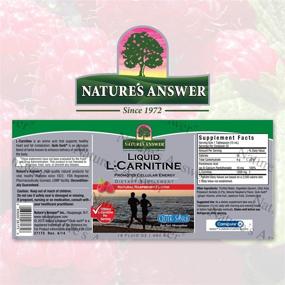img 3 attached to 🌿 Nature's Answer Liquid L-Carnitine Raspberry 1200mg - 16oz | Cellular Energy Boosting Dietary Supplement