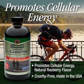 img 2 attached to 🌿 Nature's Answer Liquid L-Carnitine Raspberry 1200mg - 16oz | Cellular Energy Boosting Dietary Supplement