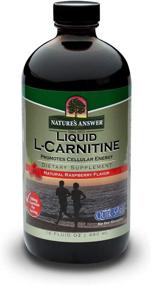 img 4 attached to 🌿 Nature's Answer Liquid L-Carnitine Raspberry 1200mg - 16oz | Cellular Energy Boosting Dietary Supplement