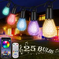 49ft ffz outdoor string lights with remote control & phone app – color changing dimmable led string light for garden decor, backyard patio lights string (water-proof shatterproof hook, 25 bulbs) логотип