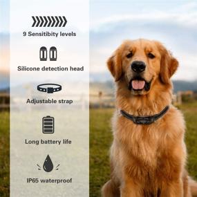 img 2 attached to 🐶 Rechargeable Dog Bark Collar with Adjustable Sensitivity & Shock Vibration for Effective No Bark Training - Ideal for Small, Medium & Large Dogs