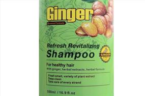 img 1 attached to Shampoo Conditioner Essence Dandruff Treatment