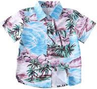 🍍 hawaiian pineapple graphic boys' button shirts logo