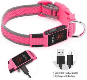 img 3 attached to Ezierfy Light Up Dog Collars: USB Rechargeable Adjustable Puppy Collars for Night Safety & Visibility