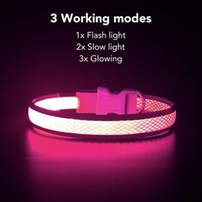 img 1 attached to Ezierfy Light Up Dog Collars: USB Rechargeable Adjustable Puppy Collars for Night Safety & Visibility