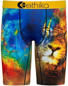 img 3 attached to 🩲 Набор трусов Ethika Spirit Assorted Staple для мальчиков