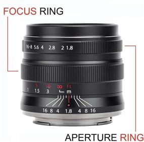 img 2 attached to 📸 Brightin Star 55mm F1.8 Full Frame Large Aperture Portrait Lens for Canon RF Mount Mirrorless Cameras EOS-R EOS-RP EOS-R6 EOS-R5 - Ideal for Portraits, Landscapes, Still Lifes