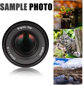 img 3 attached to 📸 Brightin Star 55mm F1.8 Full Frame Large Aperture Portrait Lens for Canon RF Mount Mirrorless Cameras EOS-R EOS-RP EOS-R6 EOS-R5 - Ideal for Portraits, Landscapes, Still Lifes