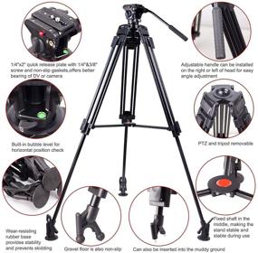 img 3 attached to Regetek 72 Inch Professional Video Tripod System: Heavy Duty Aluminum Stand with Fluid Drag Pan Head – Perfect for Canon Nikon DV DSLR Camcorder – Comes with Carry Bag