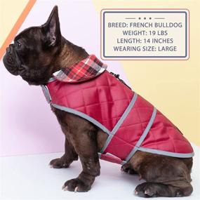 img 1 attached to 🐶 Stay Warm and Visible: KYEESE Waterproof Windproof Dog Jacket with Reflective Strip, Quilted Cold Weather Coat and Leash Hole- Adjustable Size