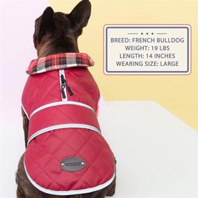 img 2 attached to 🐶 Stay Warm and Visible: KYEESE Waterproof Windproof Dog Jacket with Reflective Strip, Quilted Cold Weather Coat and Leash Hole- Adjustable Size