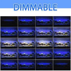 img 1 attached to 🐠 Enhanced Reefs: Remotely Controlled Dimmable LED Aquarium Light for Saltwater and Freshwater Fish Tanks - Timer and Multi-Function Settings - by Relassy