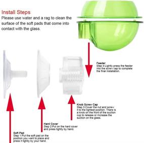 img 2 attached to 🦎 Impressive 2PCS Suction Cup Reptile Feeder: Ideal for Chameleon, Tortoise, Gecko, Snakes, Iguanas, and Lizards!