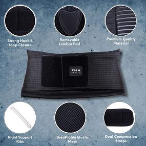 img 3 attached to 🏋️ FALA Sports Back Brace - Lower Back Support Belt for Herniated Disc and Sciatica Pain Relief - Adjustable Compression Straps, Enhanced Support with 5 Reinforced Ribs and Removable Lumbar Pad - Ideal for Men and Women