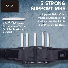 img 2 attached to 🏋️ FALA Sports Back Brace - Lower Back Support Belt for Herniated Disc and Sciatica Pain Relief - Adjustable Compression Straps, Enhanced Support with 5 Reinforced Ribs and Removable Lumbar Pad - Ideal for Men and Women